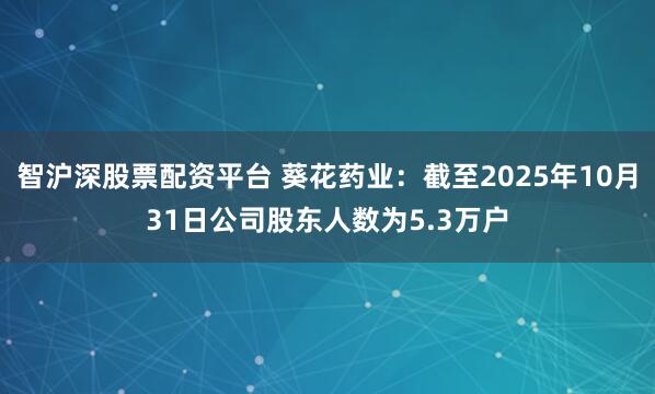 智沪深股票配资平台 葵花药业：截至2025年10月31日公司股东人数为5.3万户